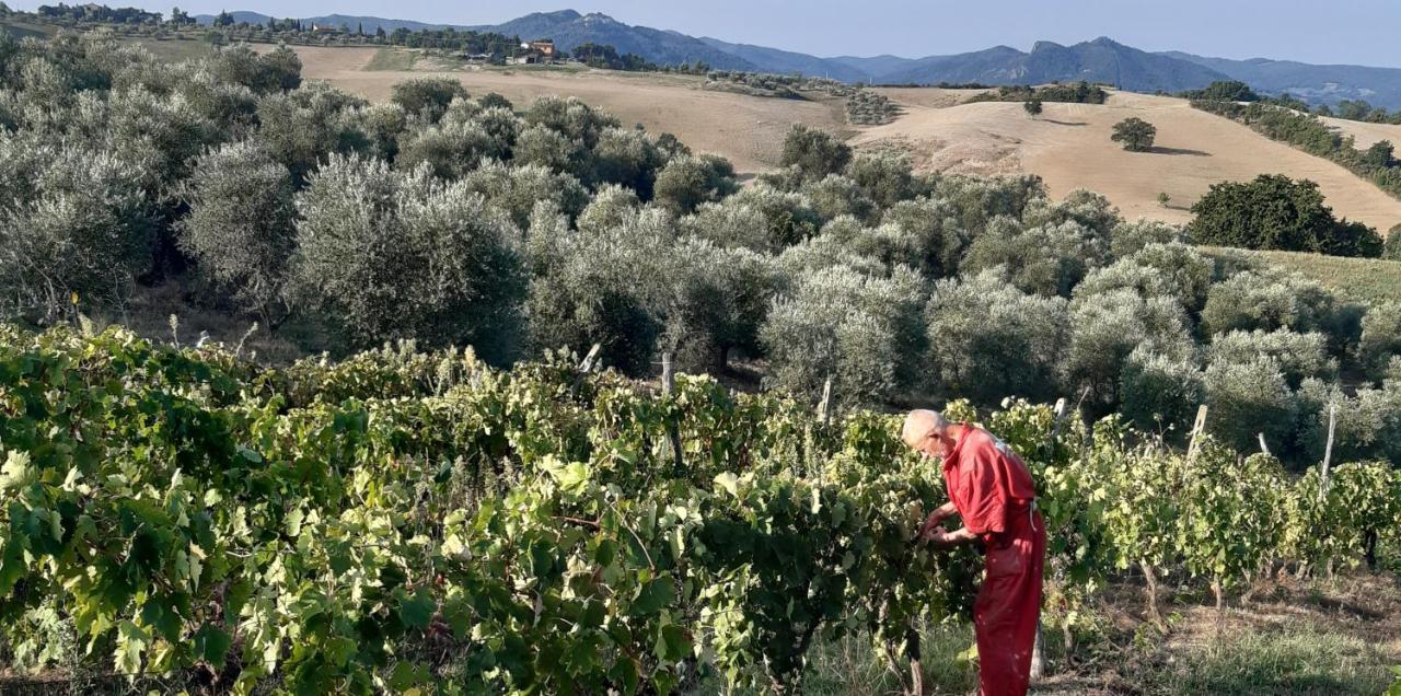 פומרנצה Agriturismo Santa Chiara מראה חיצוני תמונה