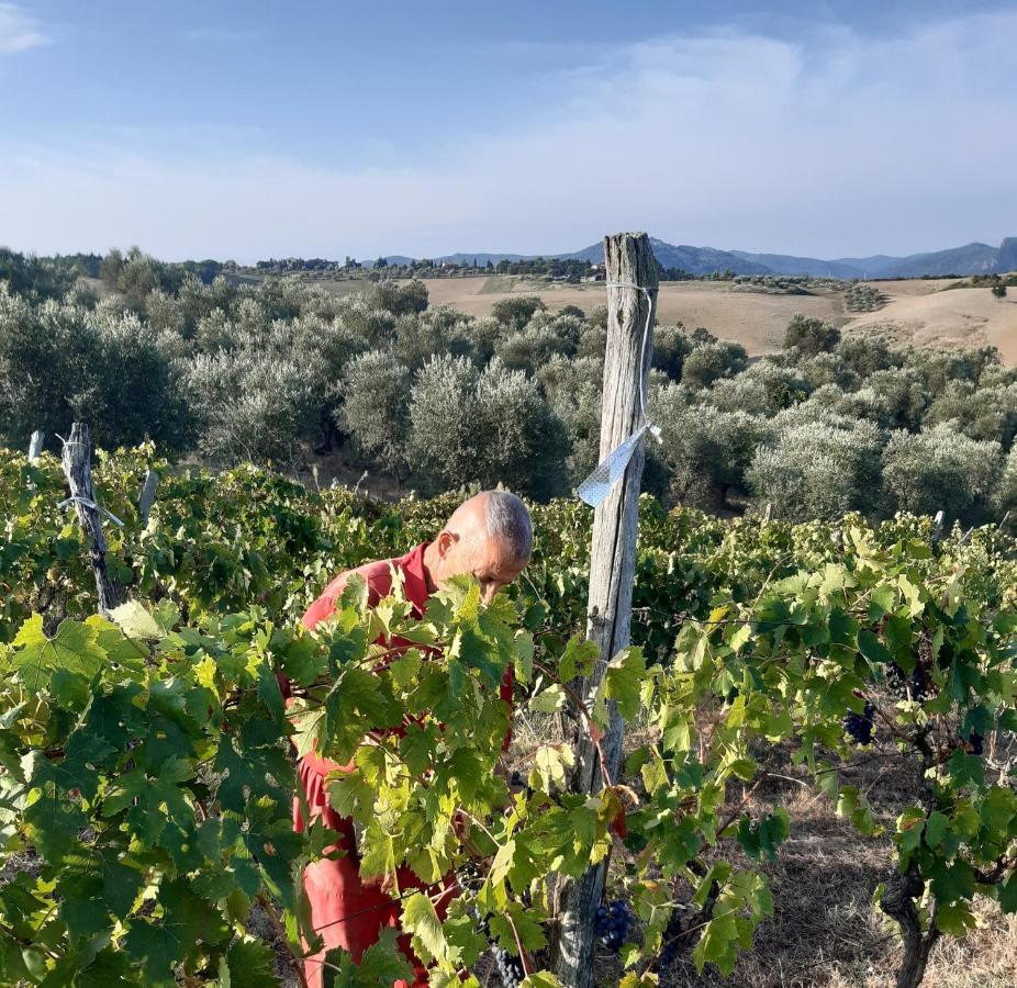 פומרנצה Agriturismo Santa Chiara מראה חיצוני תמונה