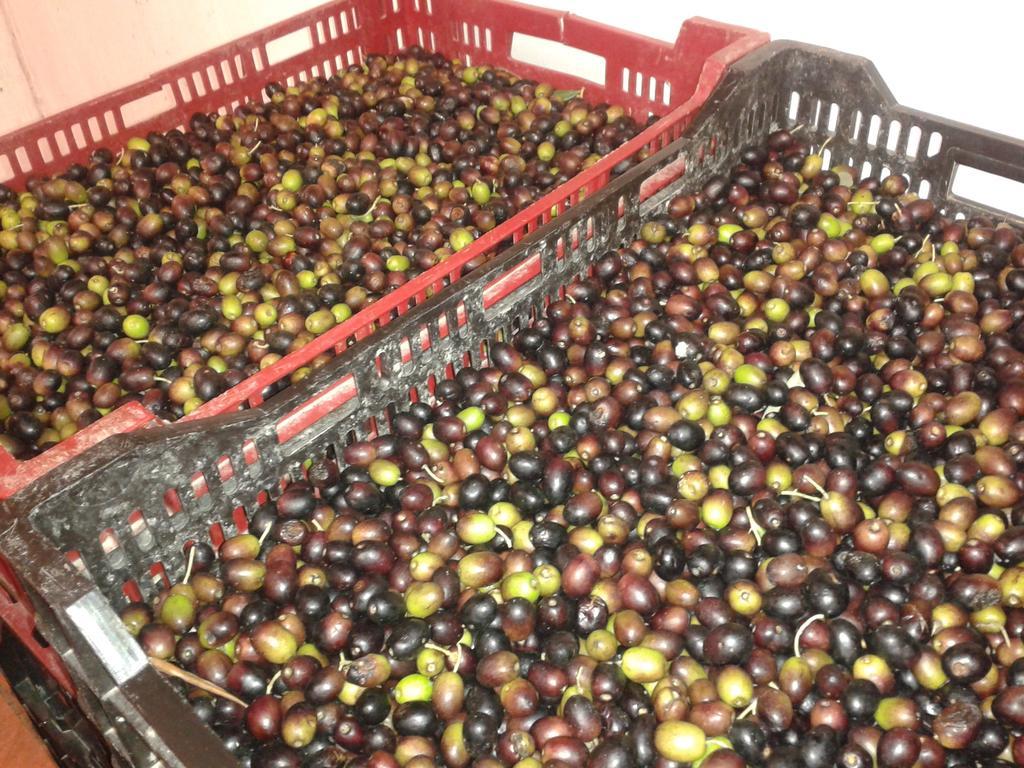 פומרנצה Agriturismo Santa Chiara מראה חיצוני תמונה