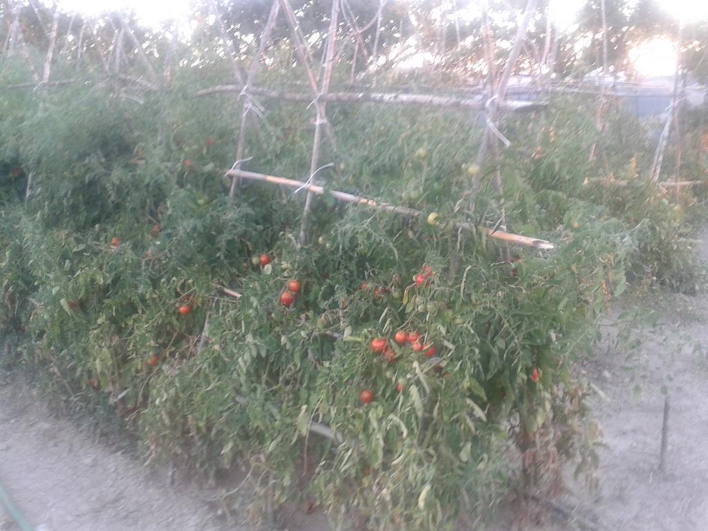 פומרנצה Agriturismo Santa Chiara מראה חיצוני תמונה