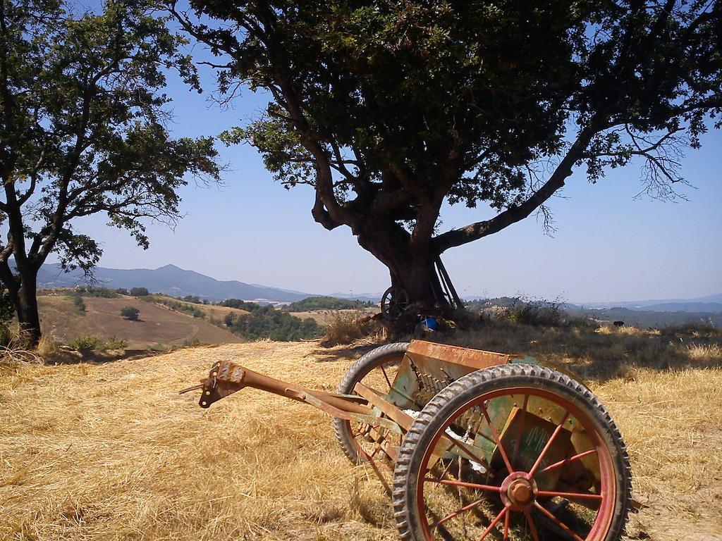 פומרנצה Agriturismo Santa Chiara מראה חיצוני תמונה