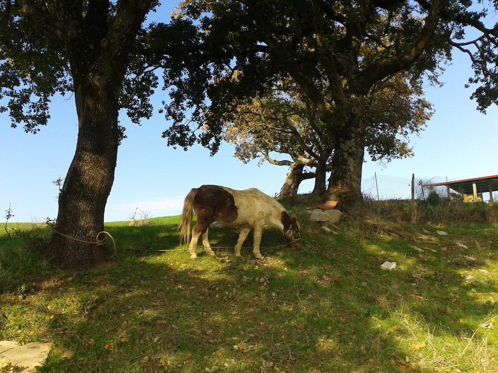 פומרנצה Agriturismo Santa Chiara מראה חיצוני תמונה
