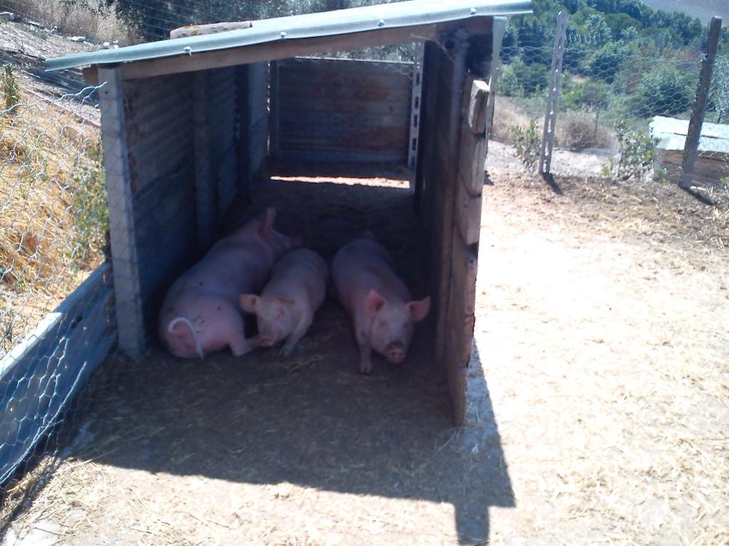 פומרנצה Agriturismo Santa Chiara מראה חיצוני תמונה