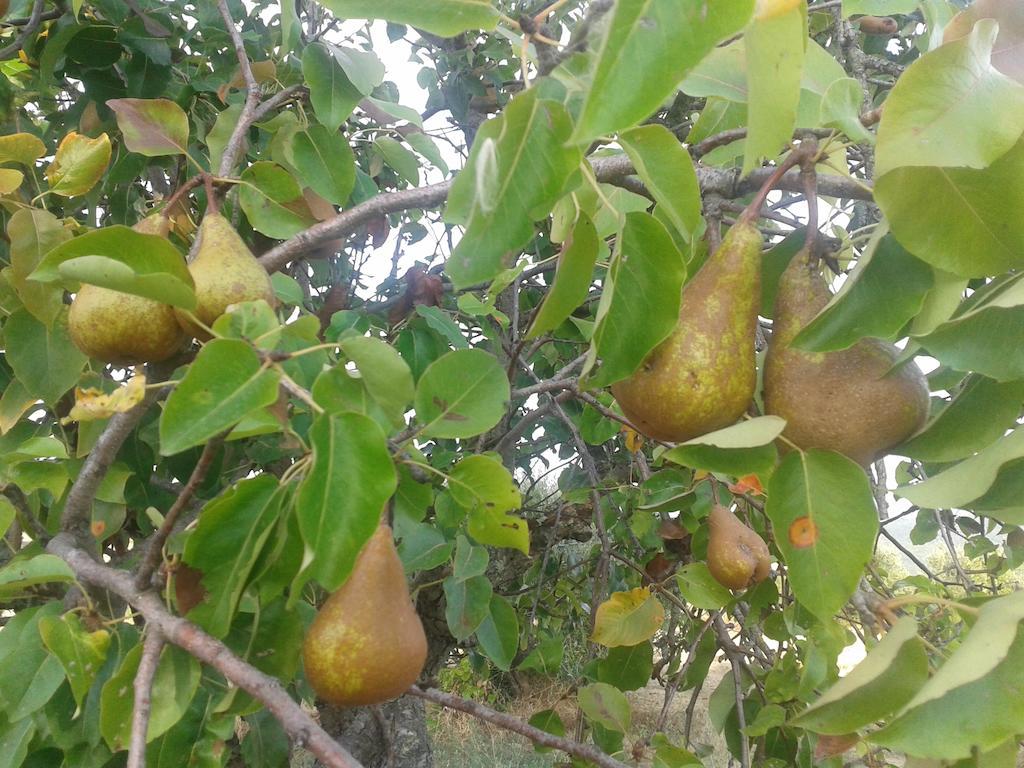 פומרנצה Agriturismo Santa Chiara מראה חיצוני תמונה