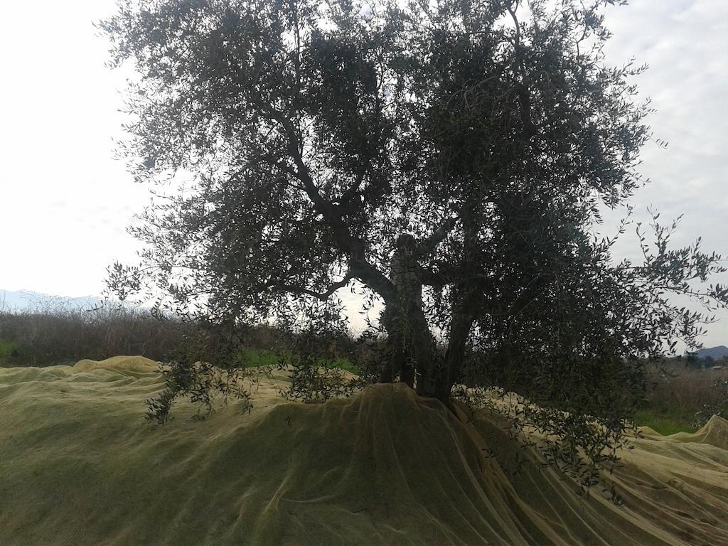 פומרנצה Agriturismo Santa Chiara מראה חיצוני תמונה