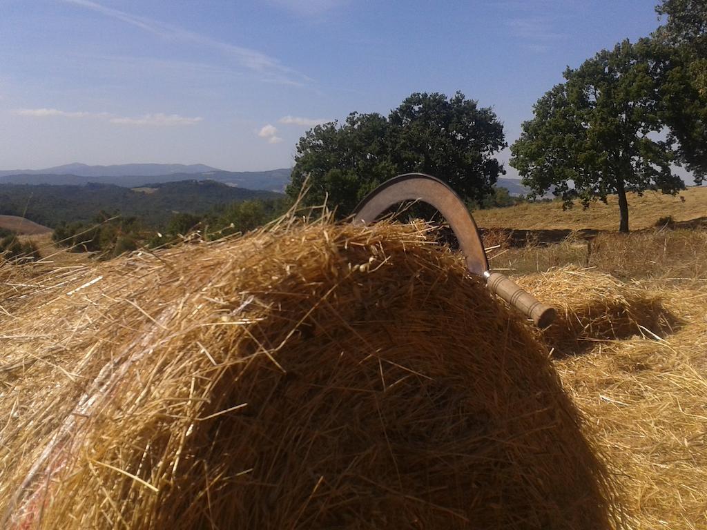 פומרנצה Agriturismo Santa Chiara מראה חיצוני תמונה