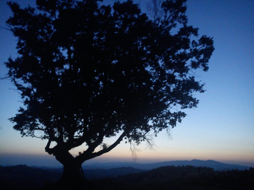פומרנצה Agriturismo Santa Chiara מראה חיצוני תמונה
